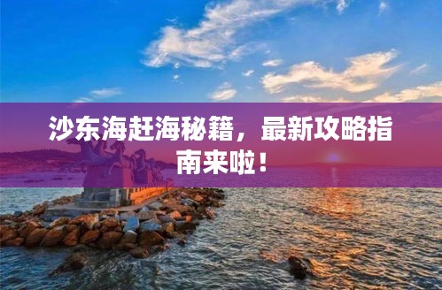 沙東海趕海秘籍，最新攻略指南來啦！