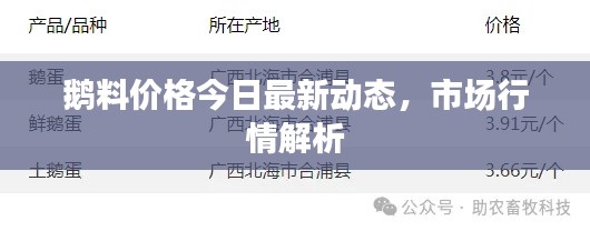 鵝料價格今日最新動態(tài)，市場行情解析