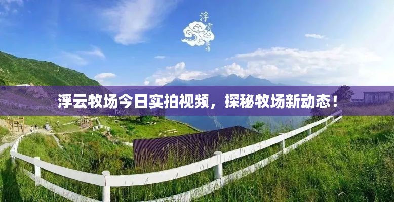 浮云牧場(chǎng)今日實(shí)拍視頻，探秘牧場(chǎng)新動(dòng)態(tài)！