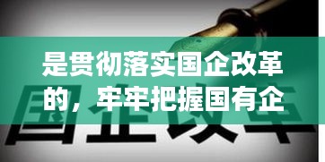 是貫徹落實國企改革的，牢牢把握國有企業(yè)改革的正確方向 