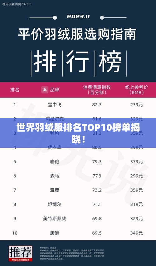 世界羽絨服排名TOP10榜單揭曉！