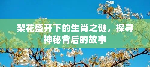 梨花盛開下的生肖之謎，探尋神秘背后的故事