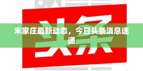 米家莊最新動(dòng)態(tài)，今日頭條消息速遞