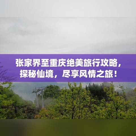 張家界至重慶絕美旅行攻略，探秘仙境，盡享風情之旅！