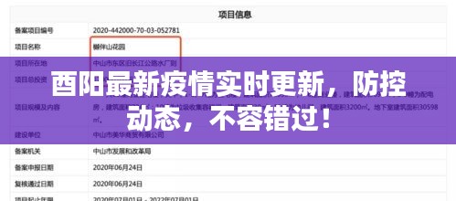 酉陽最新疫情實(shí)時(shí)更新，防控動(dòng)態(tài)，不容錯(cuò)過！