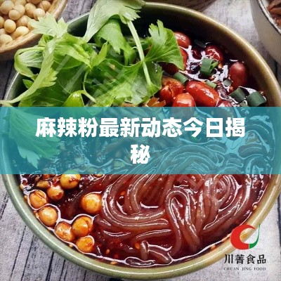 麻辣粉最新動態(tài)今日揭秘