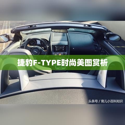 捷豹F-TYPE時尚美圖賞析