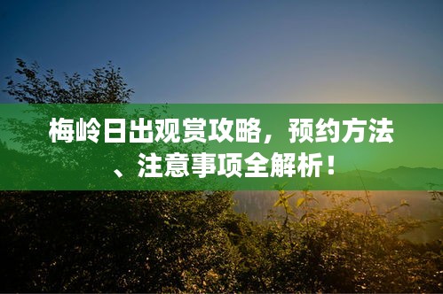 梅嶺日出觀賞攻略，預約方法、注意事項全解析！