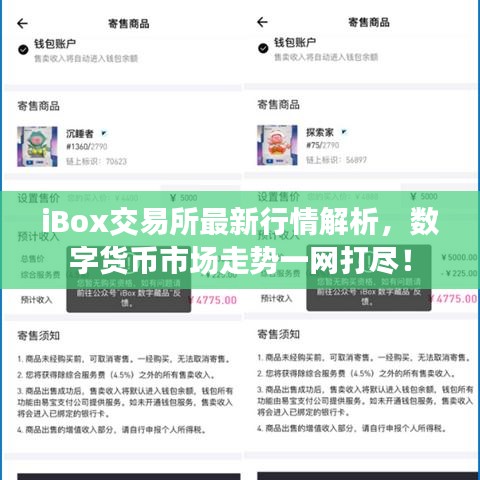 iBox交易所最新行情解析，數(shù)字貨幣市場走勢一網(wǎng)打盡！