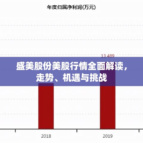 盛美股份美股行情全面解讀，走勢、機遇與挑戰(zhàn)