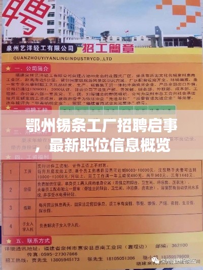 鄂州錫條工廠招聘啟事，最新職位信息概覽