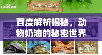 百度解析揭秘，動(dòng)物奶油的秘密世界！