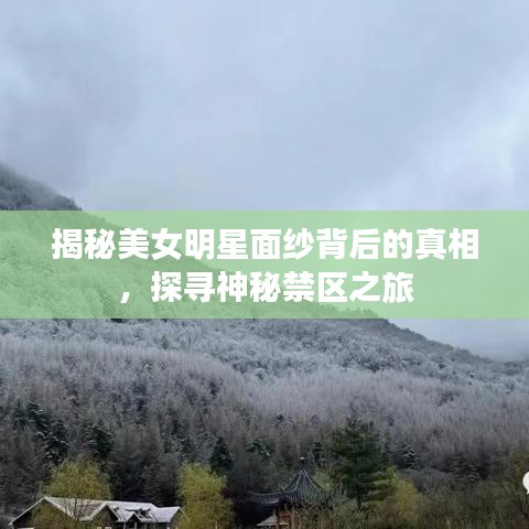 揭秘美女明星面紗背后的真相，探尋神秘禁區(qū)之旅