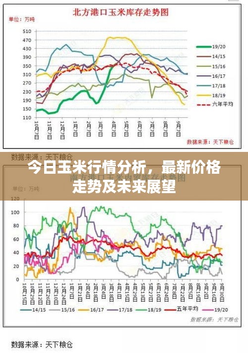 今日玉米行情分析，最新價(jià)格走勢及未來展望