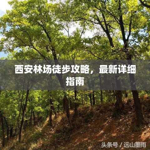 西安林場徒步攻略，最新詳細(xì)指南