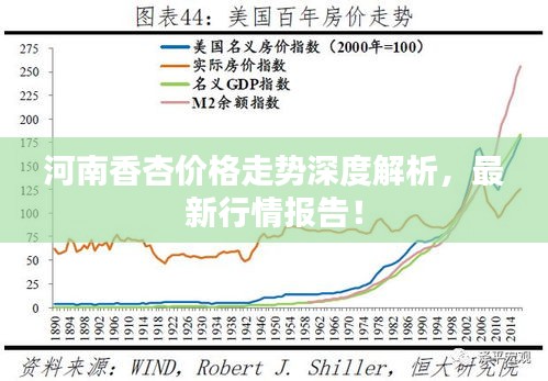 河南香杏價格走勢深度解析，最新行情報告！