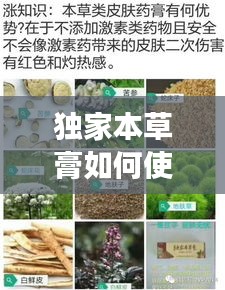 獨(dú)家本草膏如何使用，獨(dú)家本草膏有副作用嗎 