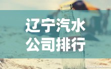 遼寧汽水公司排行榜揭曉，誰領(lǐng)風(fēng)騷？