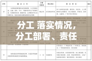 分工 落實情況，分工部署、責任落實 