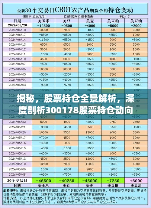 揭秘，股票持倉全景解析，深度剖析300178股票持倉動向