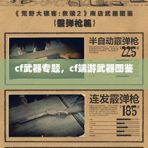 cf武器專題，cf端游武器圖鑒 